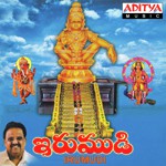 Irumudi Album Download