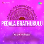 Pedala Brathukulu Album Download