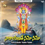 Narayanate Namo Namo Album Download