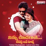 Ninnu Chudagaane - Latest Love Hits - Srikanth Song Download
