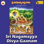 Sri Nagamayya Divya Gaanam Album Download