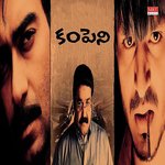 Company Album Download