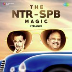 The NTR SPB Magic Album Download