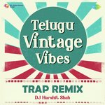 Telugu Vintage Vibes Trap Remix Album Download