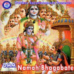 Sailabhama Mohapatra Songs MP3 Download