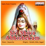 Sri Shiva Abhishekam Album Download