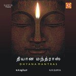 N.R. Surya Songs MP3 Download