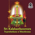 S. V. Ananda Bhattar Songs MP3 Download