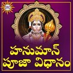 Hanuman Pooja Vidhanam (Live) Album Download
