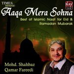 Mohd. Shahbaz Qamar Fareedi Songs MP3 Download