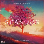 Rival & Cadmium Songs MP3 Download