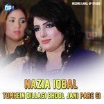 Nazia Iqbal Songs MP3 Download