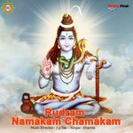 Rudram Namakam Chamakam Album Download