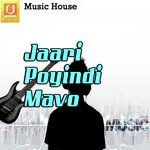 Vzm.Srinu Songs MP3 Download