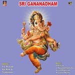Sri Gananadham - T. Srinivas Song Download