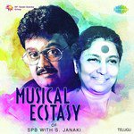 Musical Ecstasy Of SPB with S. Janaki Album Download