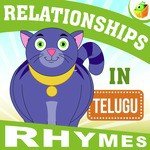 Relationships Rhymes - Magicbox Song Download