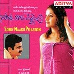 Sorry Naaku Pellaindhi Album Download
