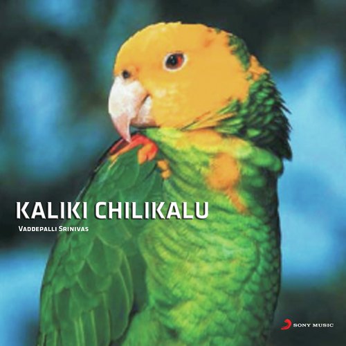 Kaliki Chilukalu Vaddepalli Srinivas MP3 Download