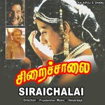 S. P. Balasubramaniam, K.S. Chitra Songs MP3 Download