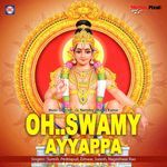 O Swamy Ayyappa - Nageshwar Rao Song Download