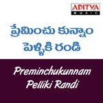 Preminchukunnam Pelliki Randi Album Download