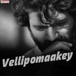 Vellipomaakey Album Download