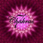 Chakra Meditation Specialists Songs MP3 Download