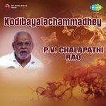 Kodibayalachammadhey P V Chalapathi Rao Album Download