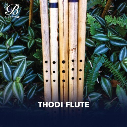 Thodi Flute K.V. Ramanujam MP3 Download