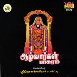 Sevilimedu Srinivasachariar & Party Songs MP3 Download