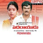 Pedarayudu Album Download
