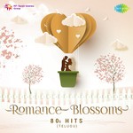 Romance Blossoms 80s Hits Album Download