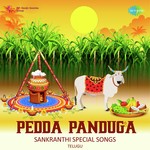 Pedda Panduga - Sankranthi Special Songs - B.Gopalan Song Download