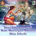 Shiva Sahasranamavali Maha Mrityunjaya Mantram Shiva Sthuthi - Sujatha Dutt Song Download
