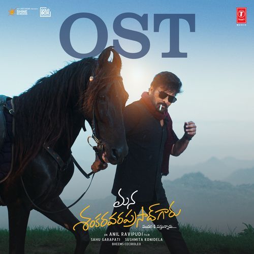 Mana Shankaravaraprasad Garu Pandagaki Vasthunnaru Ost