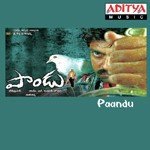 Paandu Album Download
