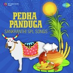 Pedha Panduga - Sankranthi Spl Songs - B.Gopalan Song Download