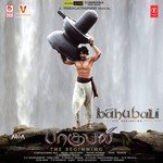 Vaikkom Vijayalakshmi Songs MP3 Download
