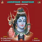 Sri Veda Srinivas Songs MP3 Download