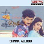 Chinna Alludu Album Download
