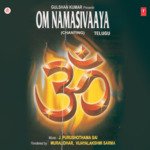 Om Namasivaaya (Chanting) Album Download
