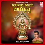 Hari Hara Tanaya Ayyappa Album Download