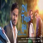 Shrinath Porwal Songs MP3 Download