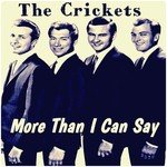 The Crickets Songs MP3 Download