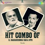 Hit Combo Of K. Raghavendra Rao And NTR Album Download
