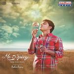 Mr..Spicy Album Download