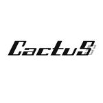 Cactus Songs MP3 Download